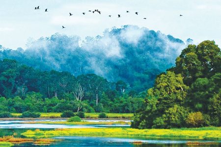 NAM CÁT TIÊN – NGHỈ DƯỠNG RESORT ORCHARD -2N1Đ
