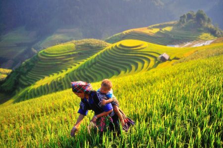 MÙA VÀNG: MỘC CHÂU – SƠN LA – ĐIỆN BIÊN – LAI CHÂU – SAPA – MÙ CANG CHẢI – 5N4Đ