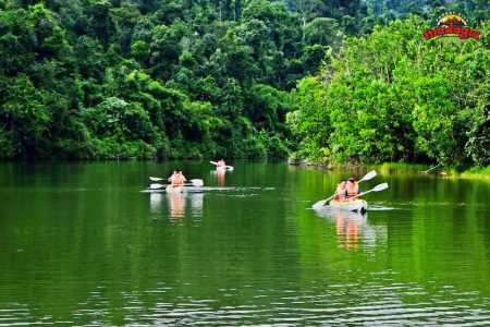 KHÁM PHÁ RỪNG XANH MADAGUI – 2N1Đ
