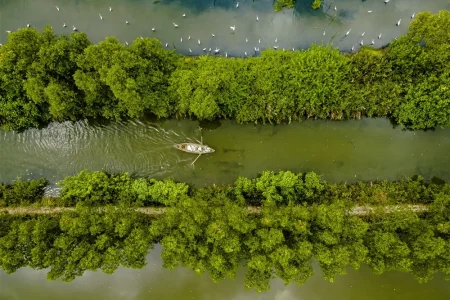 SÔNG THOM – CHỢ NỔI XỨ DỪA CỒN CHIM – TRÀ VINH – 2N1Đ
