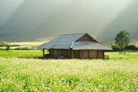 TH. HCM – MỘC CHÂU – 4N4Đ