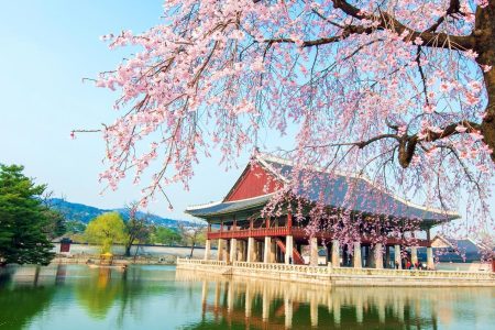 SEOUL – NAMI – EVERLAND – 5N4Đ