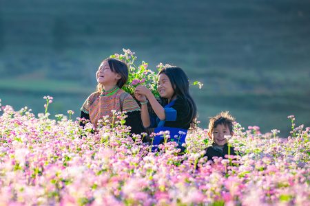 Tour Hà Giang 3N2Đ – Mùa Hoa Tam Giác Mạch